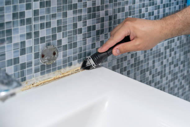 Best Health and Safety Mold Remediation in Wortham, TX