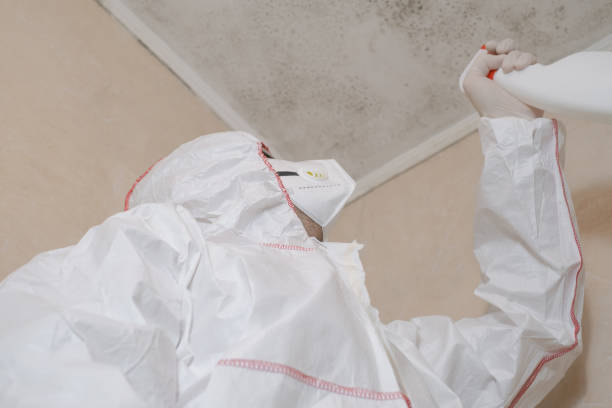 Best Bathroom Mold Remediation in Wortham, TX