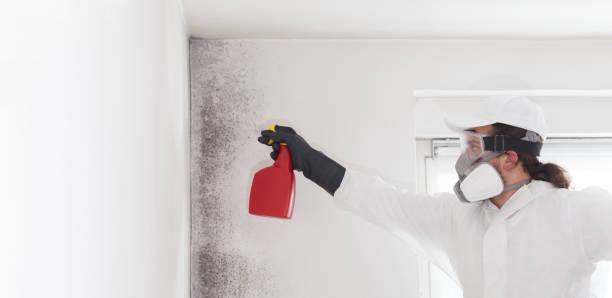Best Crawl Space Mold Remediation in Wortham, TX